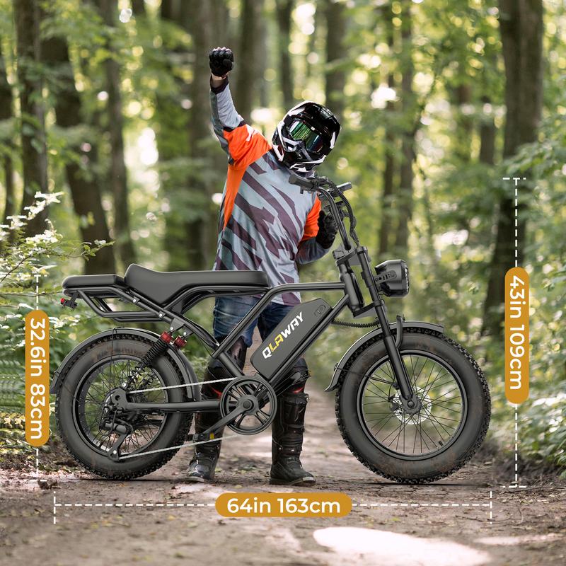 Electric Bike Peak Power 1500W